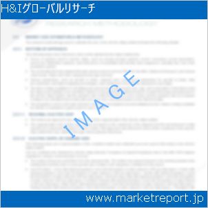 市場と産業調査レポートのイメージ